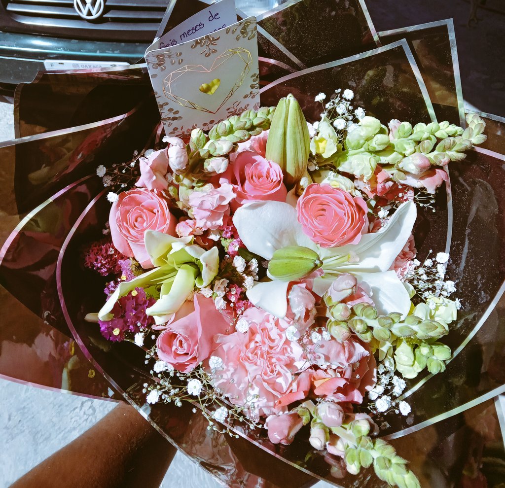 moonlight_18181's tweet photo. Los mejores 6 meses de mi fokin life carajo, te amo mi vida. 🤍 https://t.co/p5qNaPtSYG