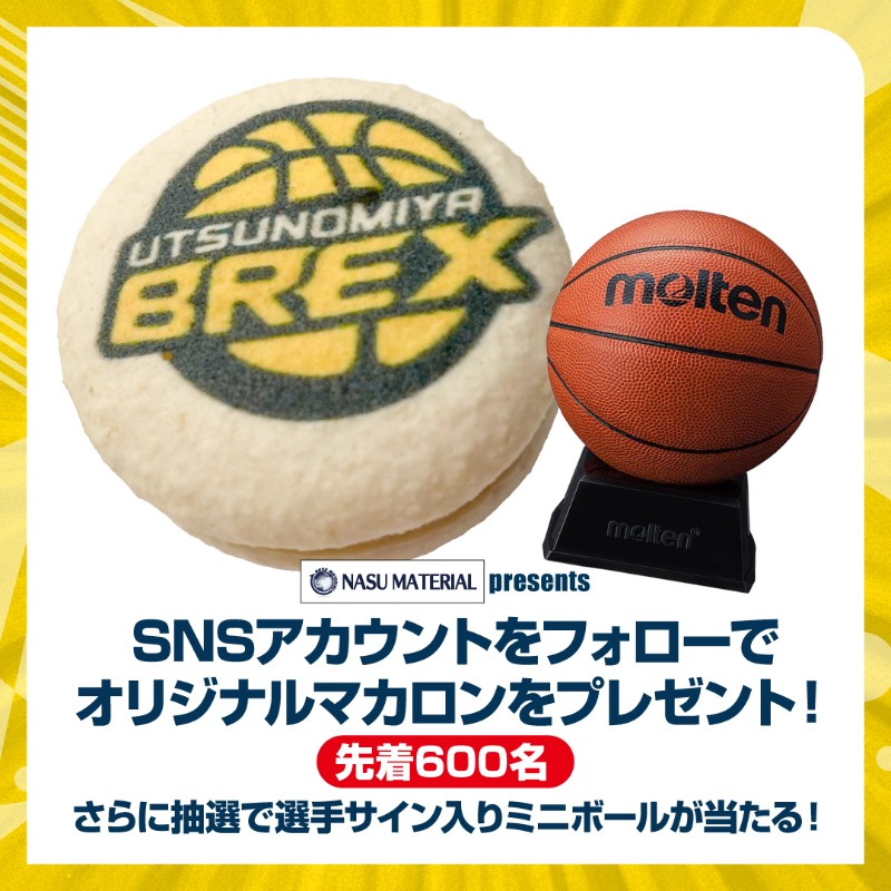 ホームゲーム情報】 2/11(水) 台北富邦ブレーブス戦では、1F 那須