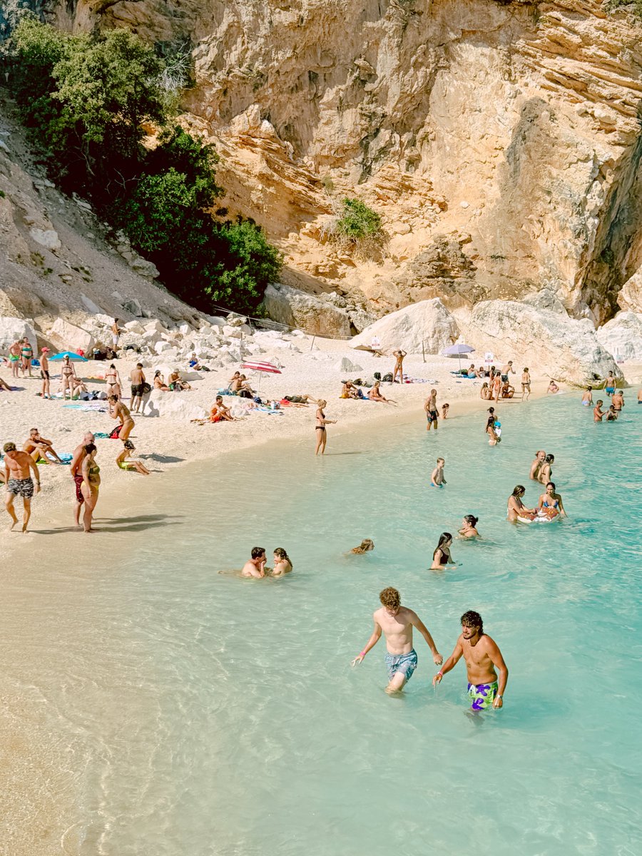 SHIMPEI TAKAGI /高木慎平 tweet media