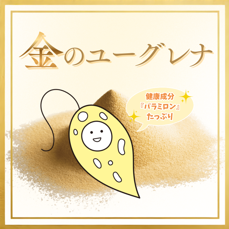 micarea_jp's tweet photo. ＼ユーグレナ、って緑じゃないの？／
 
一般的なユーグレナは緑色ですが、
ミカレアで使用しているユーグレナは
金色✨
 
親会社であるKOBELCOグループ
独自の技術で大切に育てているので
健康成分「パラミロン」たっぷりの
金のユーグレナになるんです！ https://t.co/JDgkgbvTcu