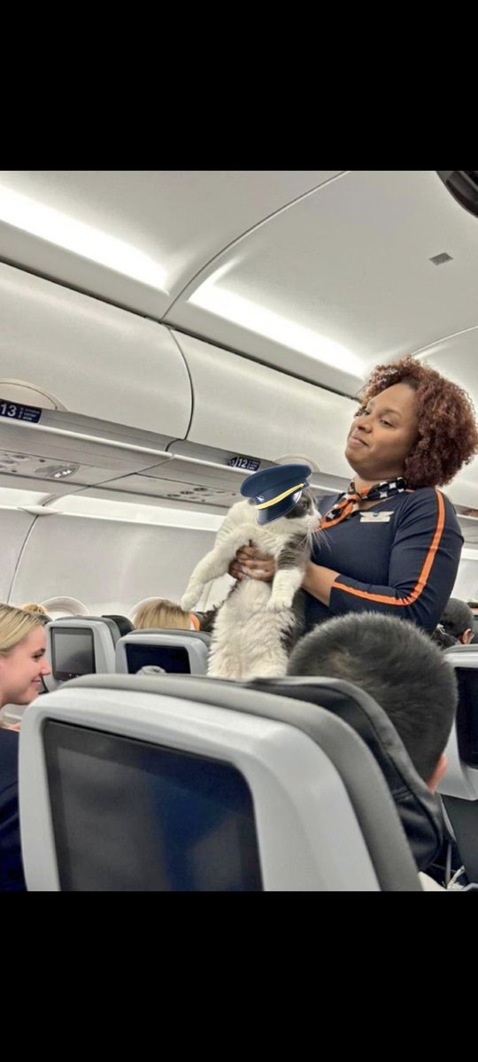 CapLaloVargas's tweet image. Captain reporting for duty 😼✈️