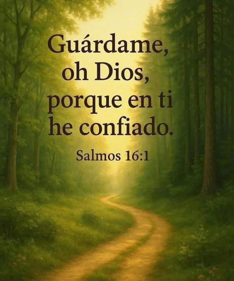 Blaker-Lavayen 🇪🇨 (@blacker_lavayen) on Twitter photo 