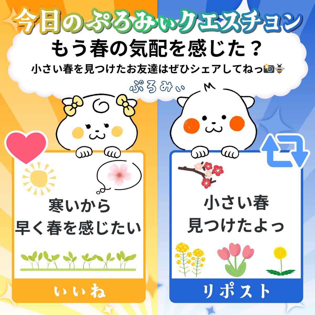 ぷろみぃ【公式】 (@promise_puromi) / Posts / X