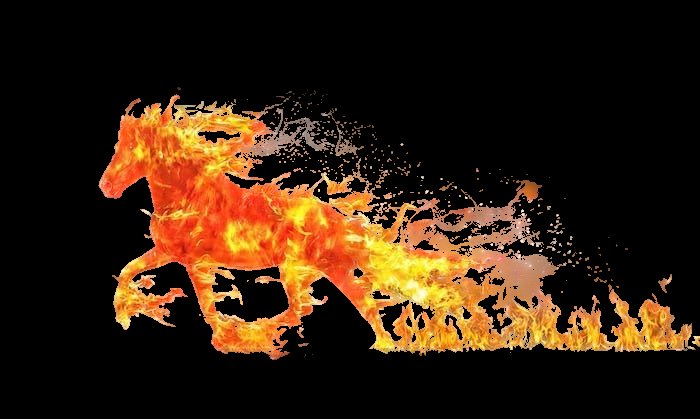 Elijah spear of YaH tweet media