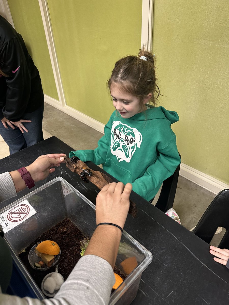missmcgovernkdg's tweet photo. Successful field trip to Peggy Notebaert Nature Museum! We got to touch bugs, enter a mirror room, and design our own butterflies! @NatureMuseum #d124 #ibelonginevergreen #beevergreen https://t.co/MINUU0YTGw