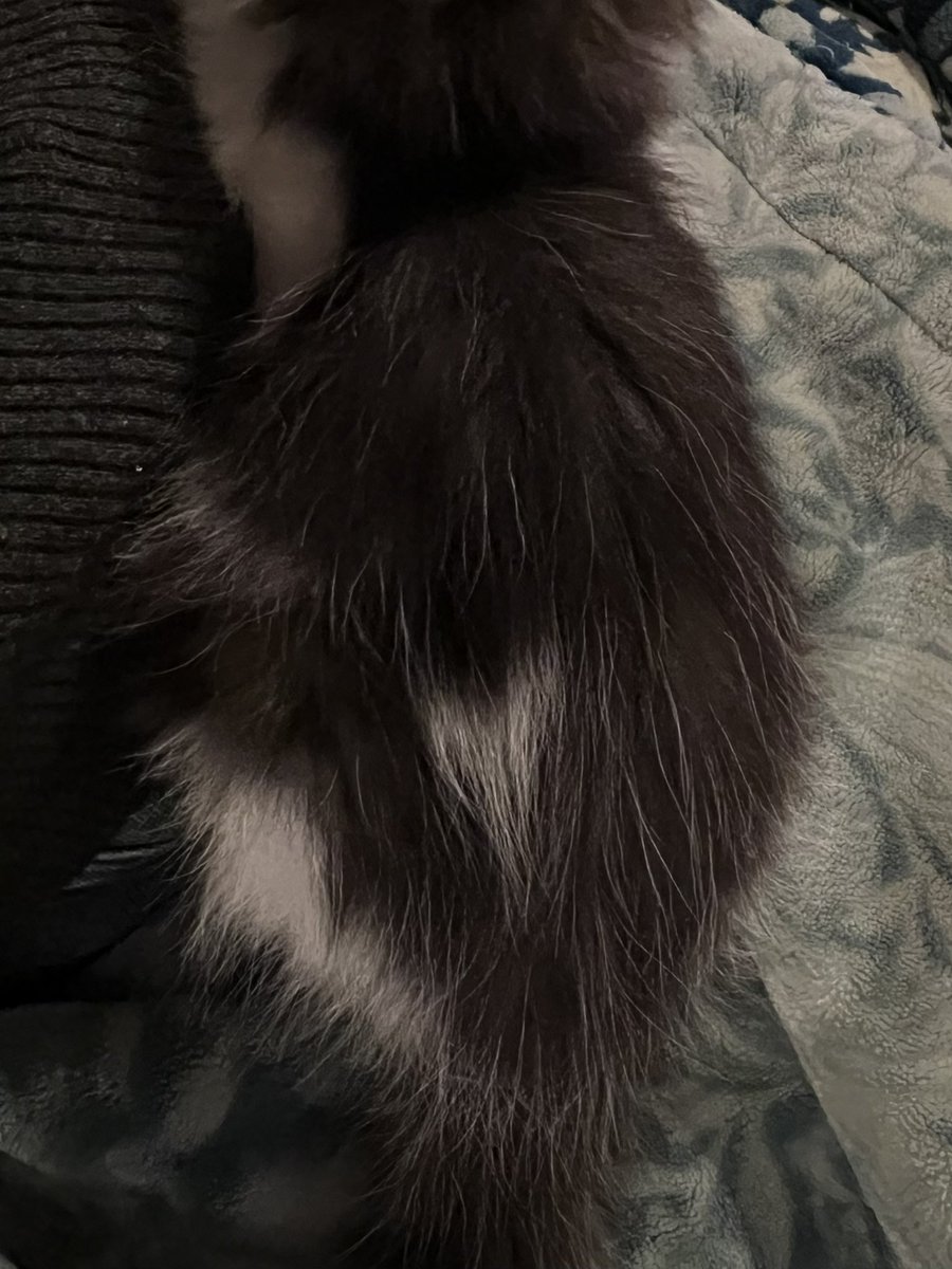 ぴょんたママ (@etsu510) / Posts / X