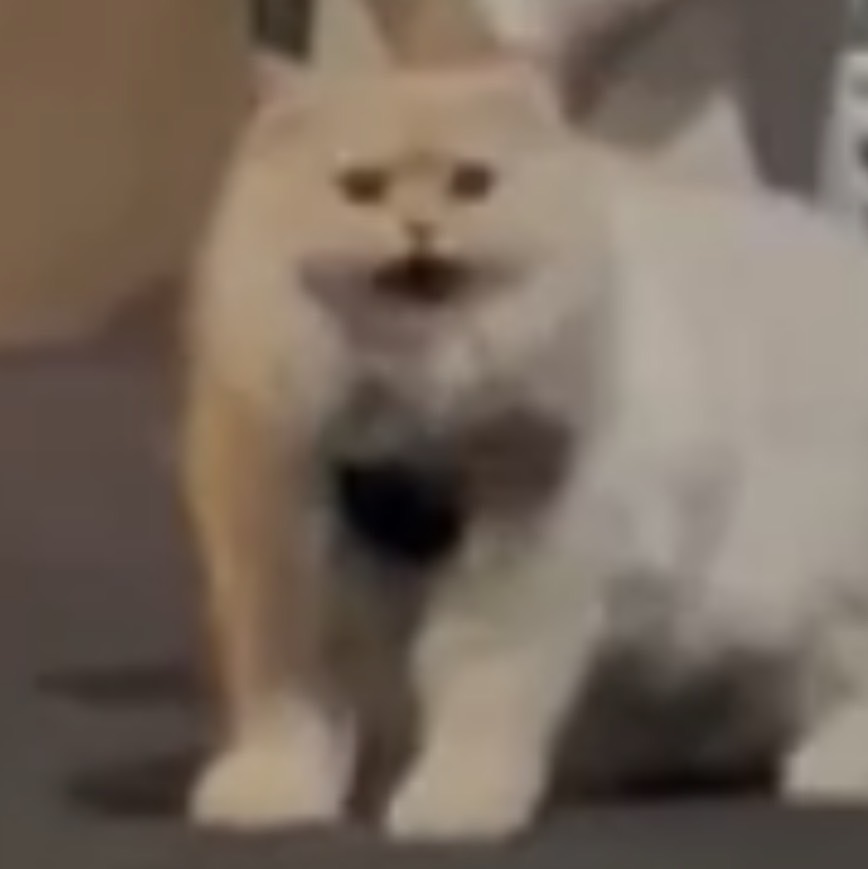 2/4

あちゃん　20-23:30
ふね　　　23:30-05
そら　　　20-05
まいか　　22-05

お待ちしています😆
#新宿二丁目 #LGBT #LGBTQ  #レズビアン #ミックスバー #ビアンバー #セクマイ #セクマイさんと繋がりたい