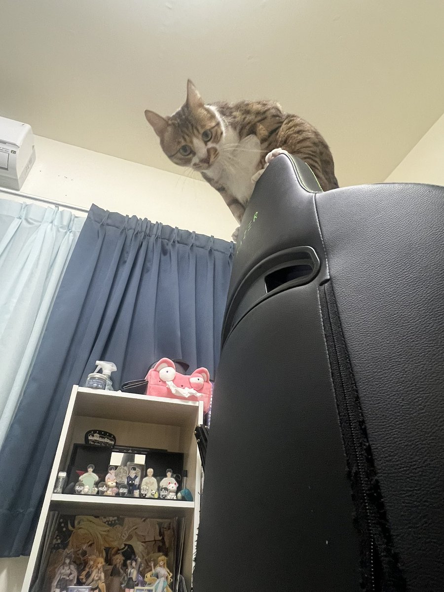 到底想要幹嘛？
玩摔角嗎？

#喂威