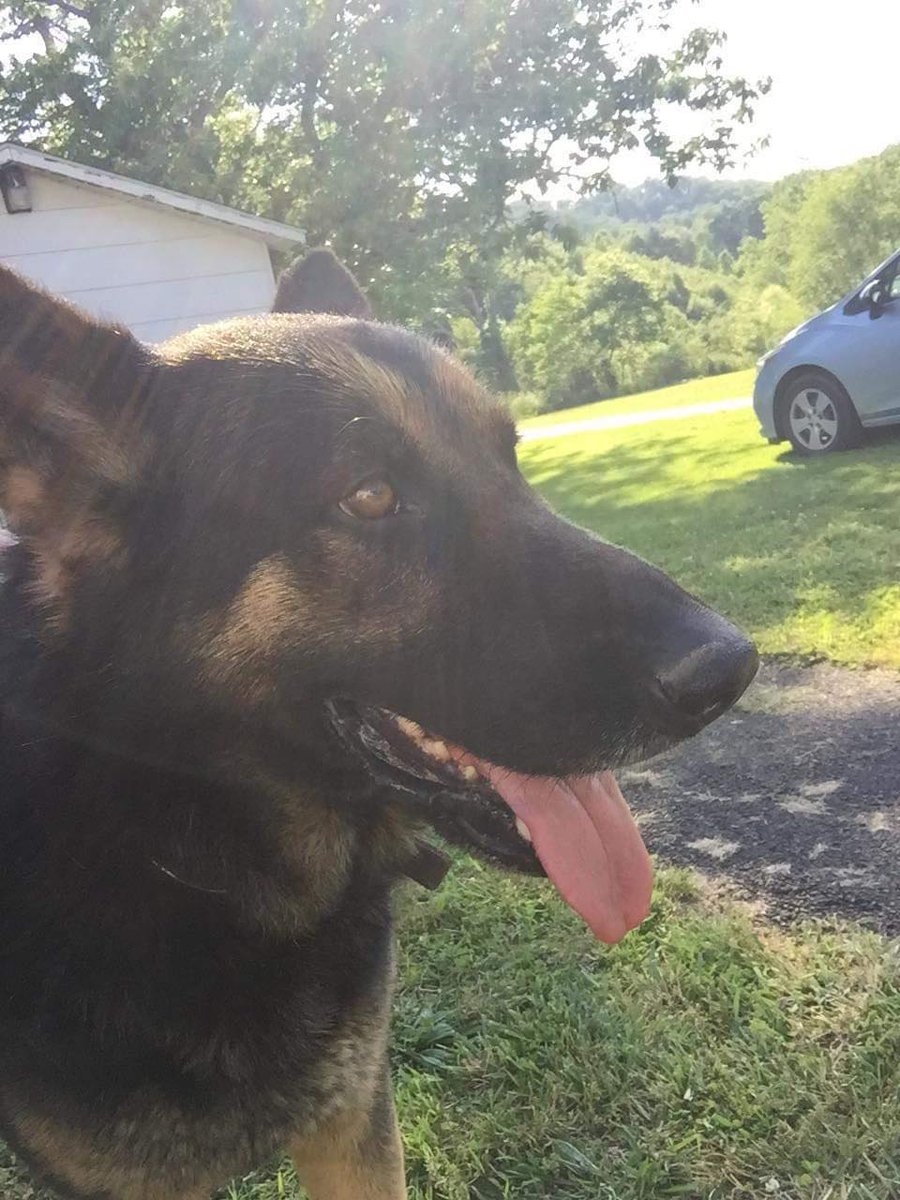 Eva Webb-Smith tweet media