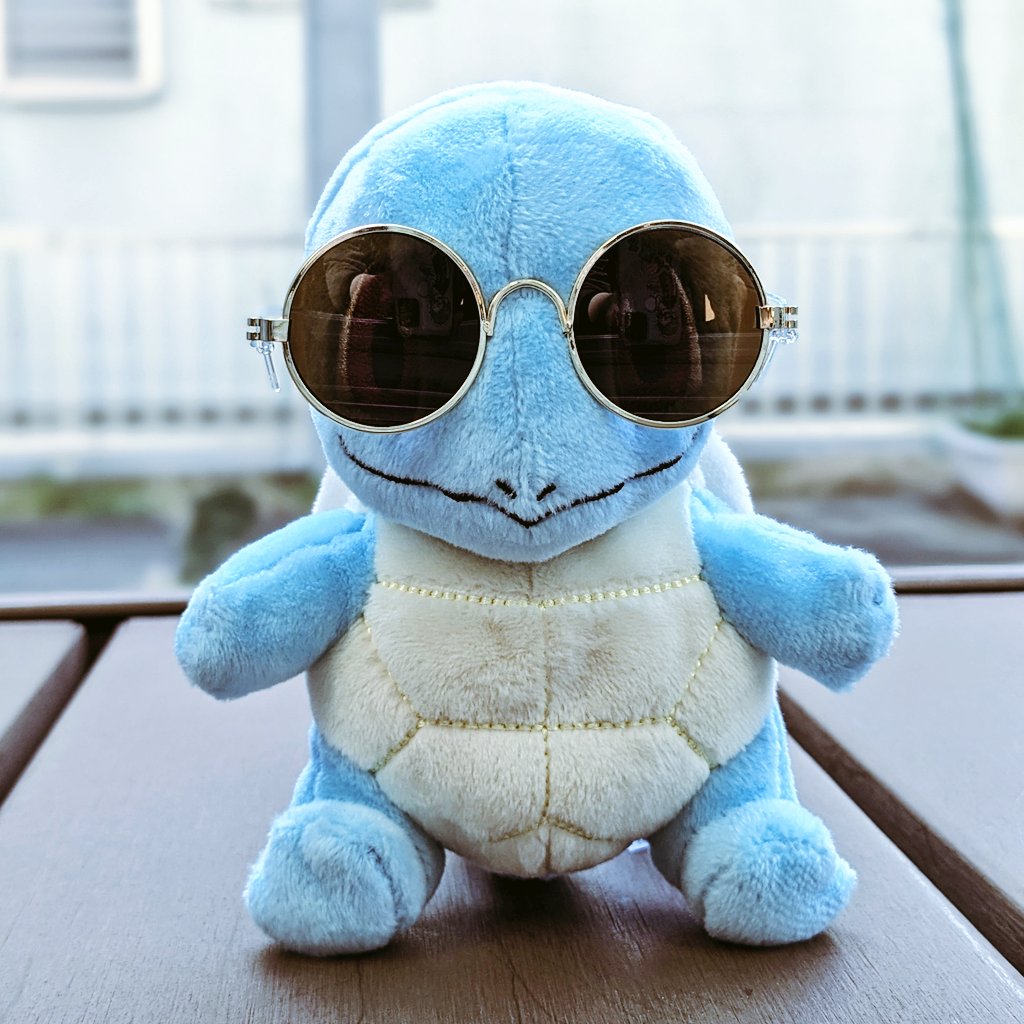 ポケモンfitのゼニガメだと サングラスが大きすぎてゼニガメ団ぽく