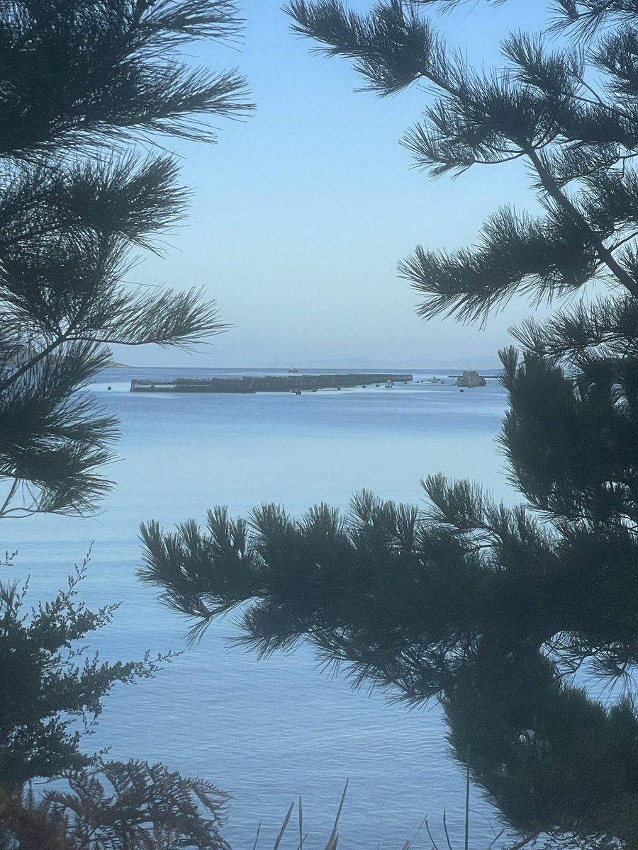 CathCath77's tweet photo. #Nubeena adventures early today.I surrender too! > M$1 home view..glad the #12pro has noticed. #Tasell #Salmon farm. Forgot about the salmon truck yesterday —will remember for first Tuesday of March. https://t.co/9fgEAw2fuF