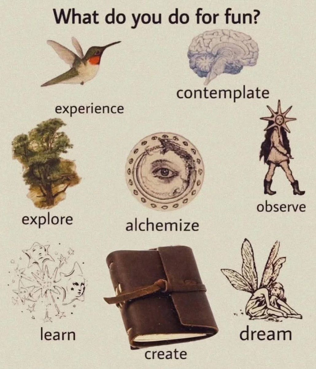 Synexdoche (@amor_fatti) on Twitter photo 