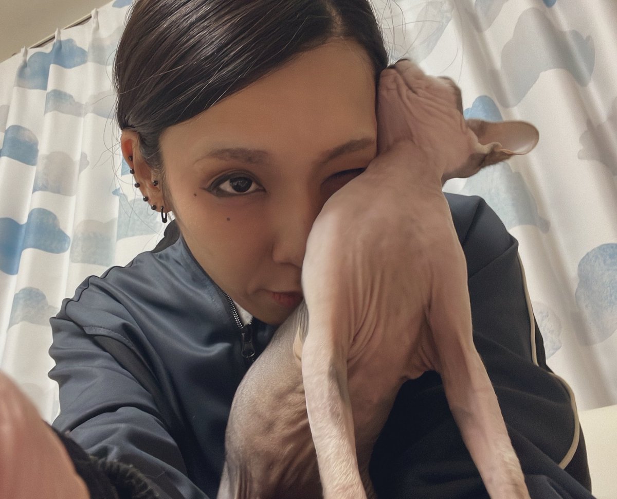 スフィンクスはたぶん犬