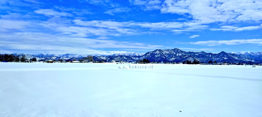 DAN?@㍉㍉ tweet media