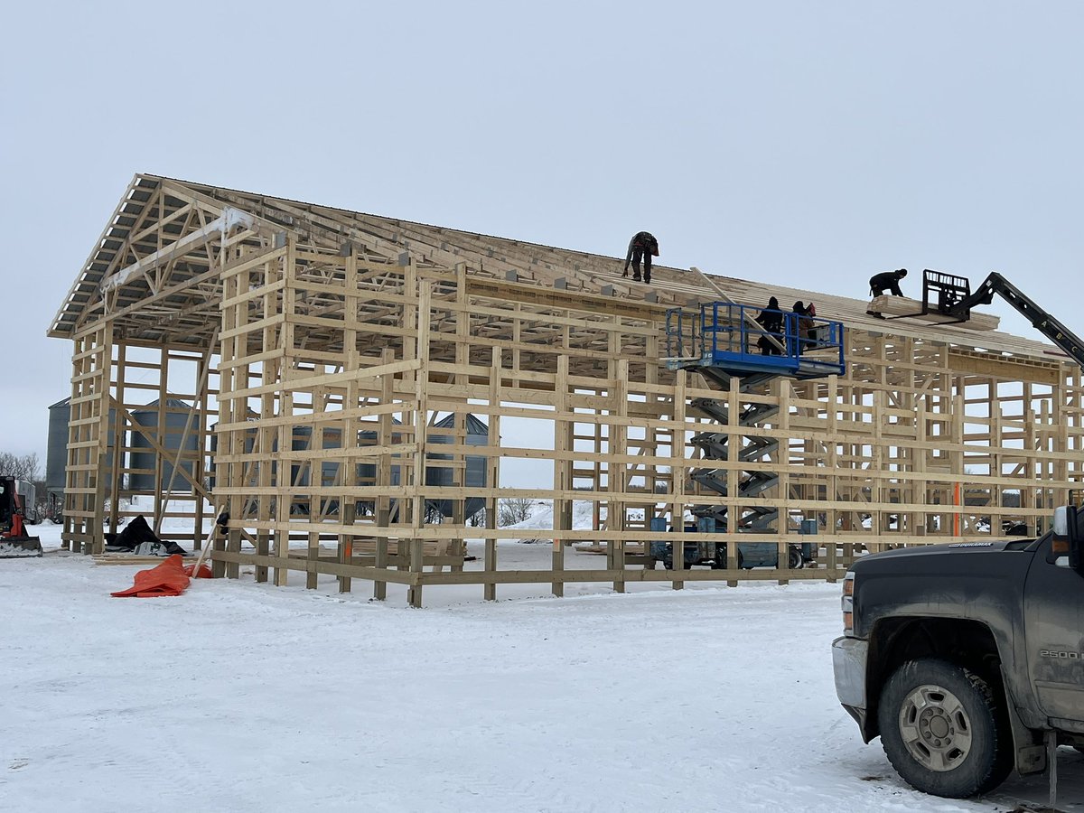 gbtangus's tweet image. Boys are getting after it, now that the weather has finally broke. Roof up and metal on. Maybe get the bi-fold installed this week too. Kinda glad the weather was the shits while we were away. Didn’t want to miss out on the build action. 
#shopbuild