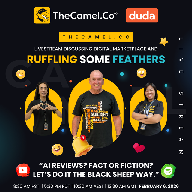 TheCamel.co tweet media