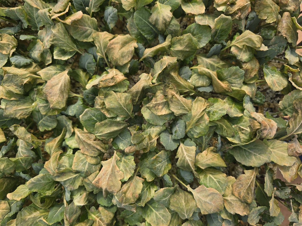 Tim Flanders tweet media