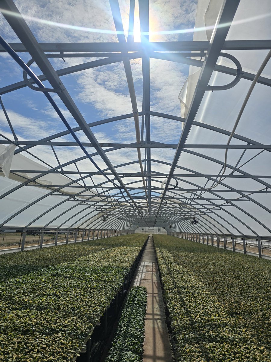 Tim Flanders tweet media