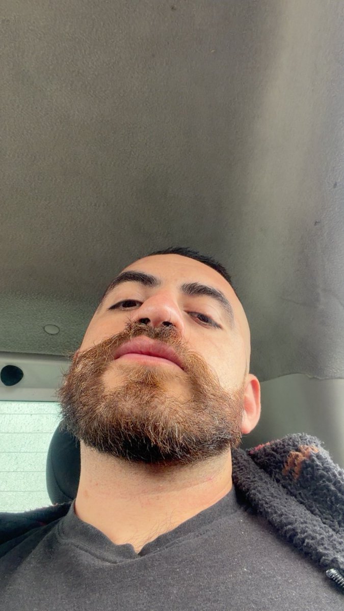 Octisoy's tweet photo. La cara / la pata https://t.co/nL75JFp97C