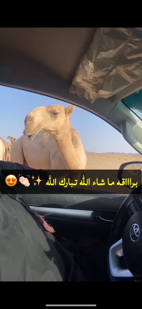 والخشم قوس ربابه لمهلي الحشاشي … 👏🏻🥇✨