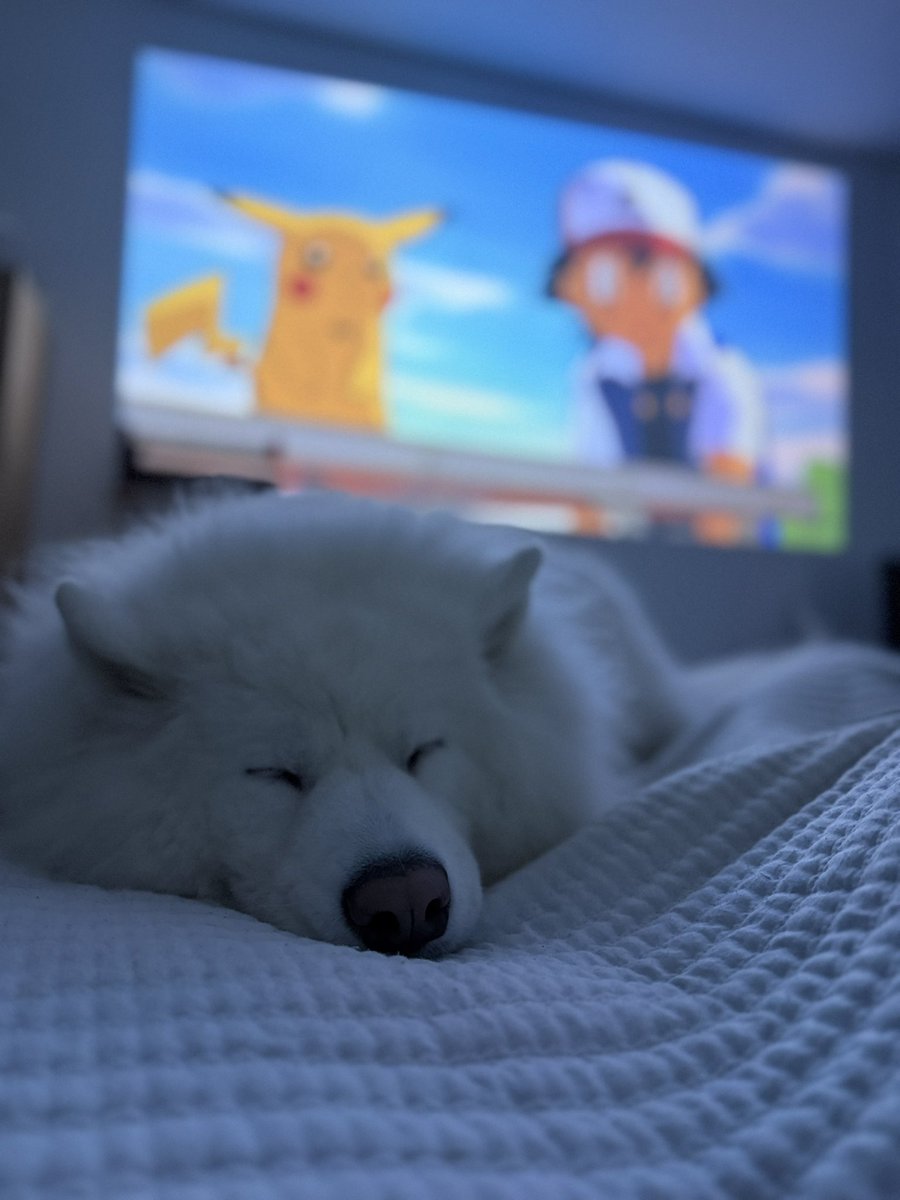 hickenbottom's tweet photo. Literal Pokemon… https://t.co/s6uZW62Dbc