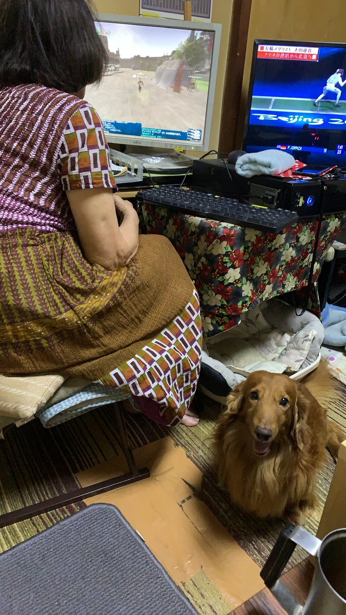 松けん tweet media