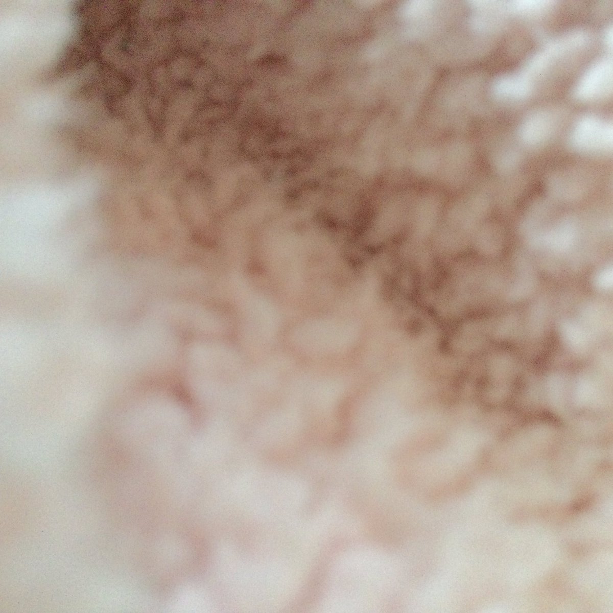 太田 裕美 tweet media