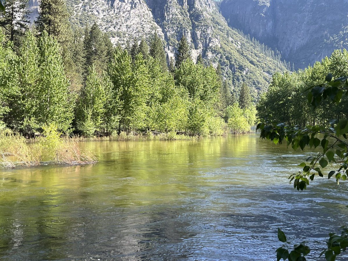 Sixto Porras tweet media