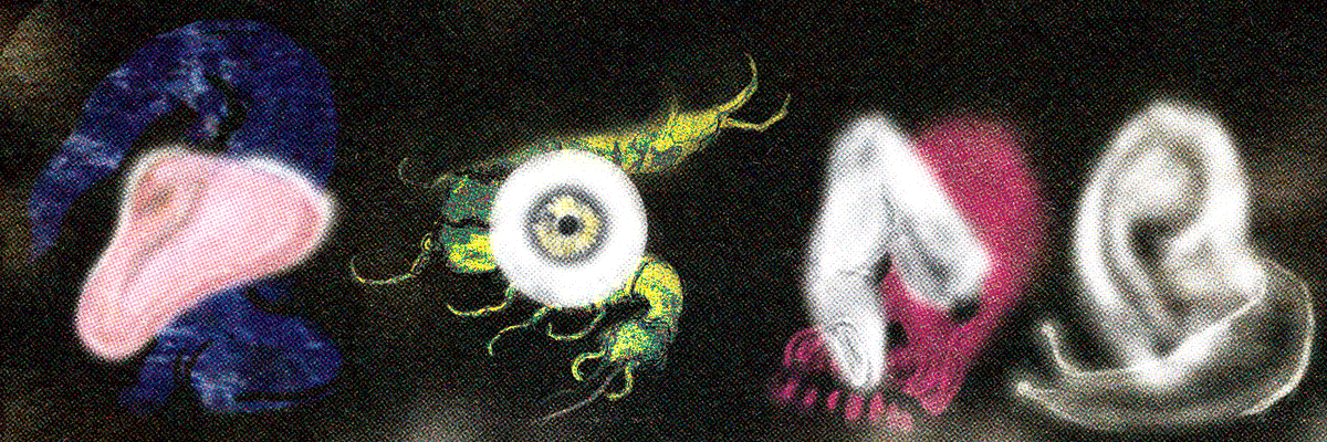 LatticeParable's tweet photo. the lost senses https://t.co/rzBFxVCZKU