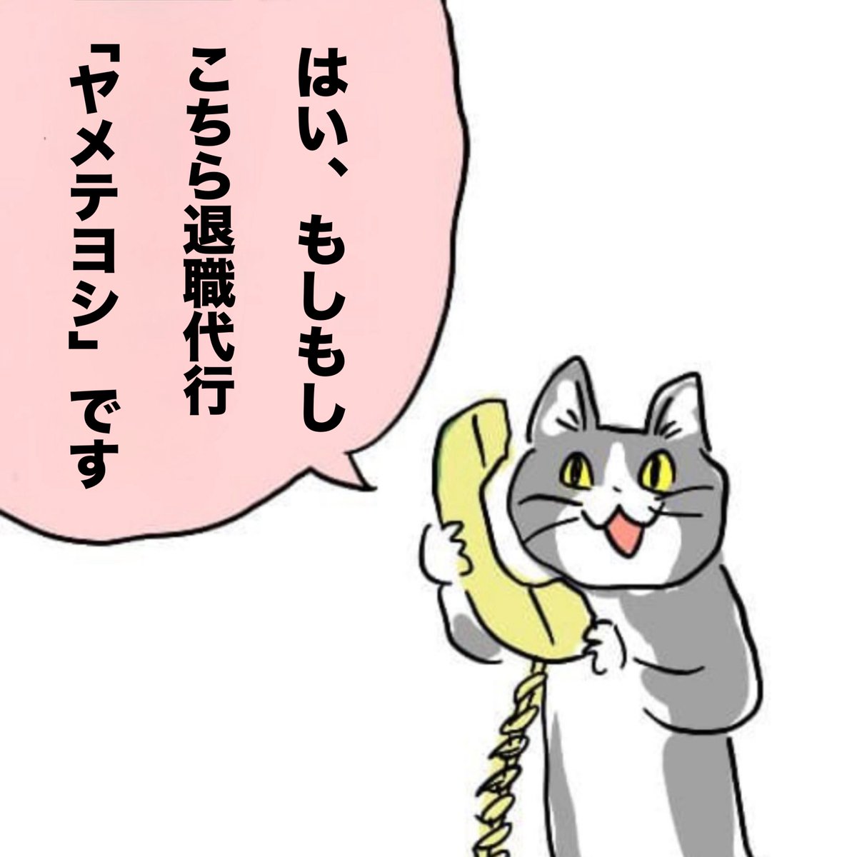 『モームリ』が散った今
退職代行はこの会社一択です（再掲）

#現場猫