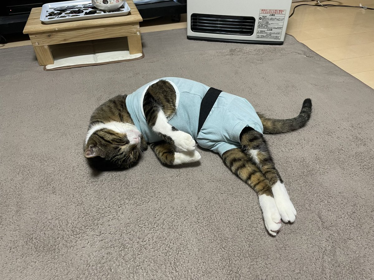 おはようございますラウドネスブラザーズ^_^