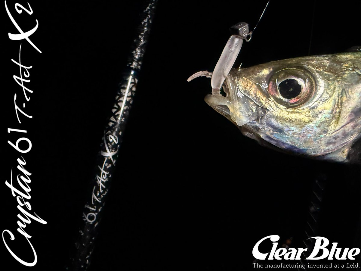 ［Crystar61 T-ACT X2］
 
高感度チューブラーロッド！🤣👍
0.5g〜5.0gまで使用可能！🤣👈

#PR #clearblue #アジング #しんさんの釣り #四国青組