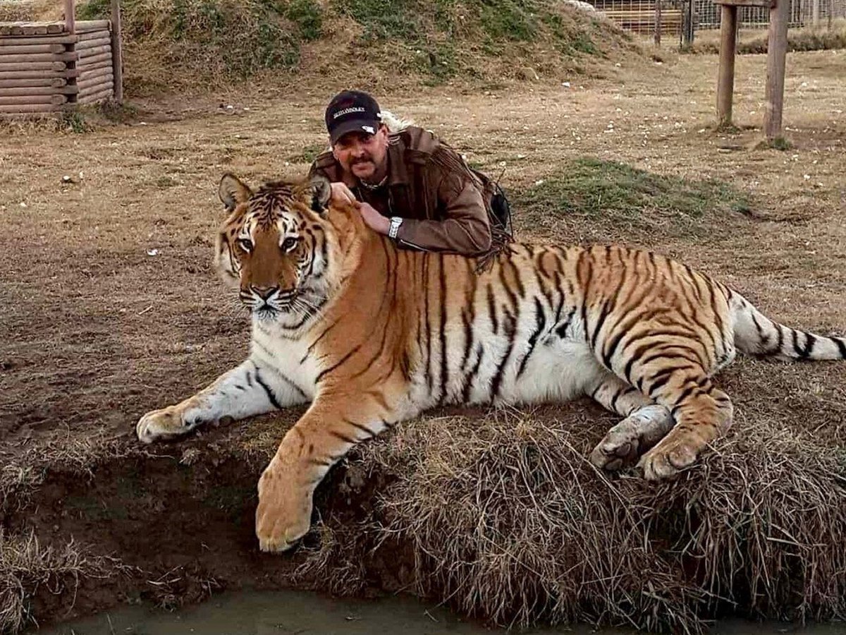 He claims to have six terabytes of unseen zoo footage, which he says will reveal what the original Netflix series left out. 

talker.news/2026/02/03/tig… 

#TigerKing #tiger #Netflix #JoeExotic #prison