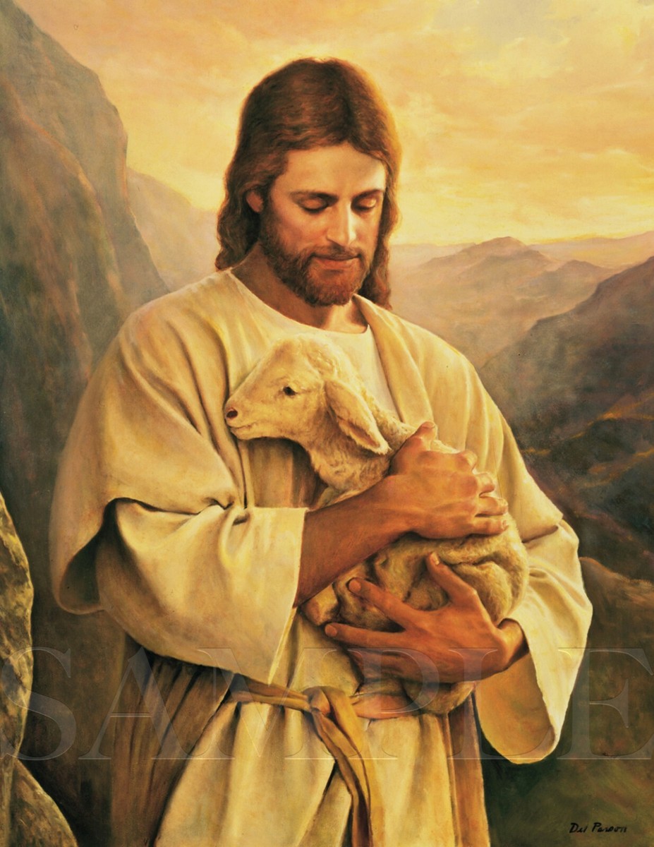 Ollie Chuddington 🇻🇦 tweet media