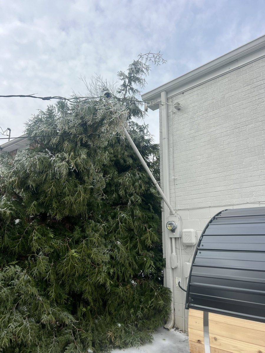 Davey Russell tweet media