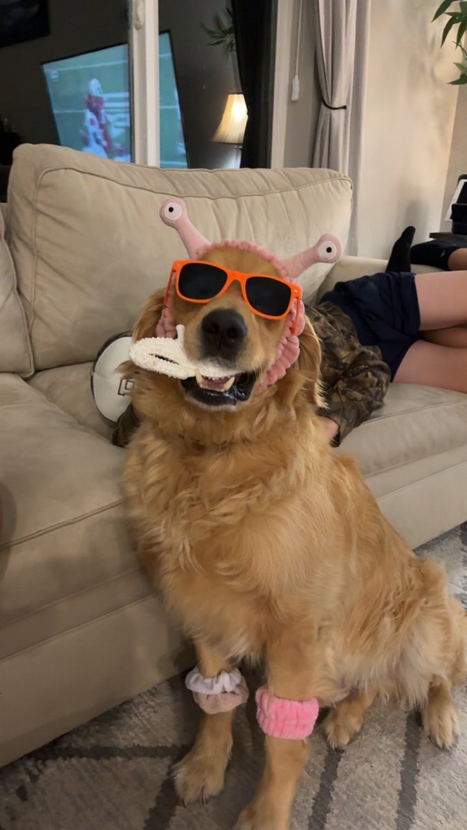 Happy National Golden Retriever Day, Tater! Thanks for always keeping us laughing and only sometimes being annoying! 😂