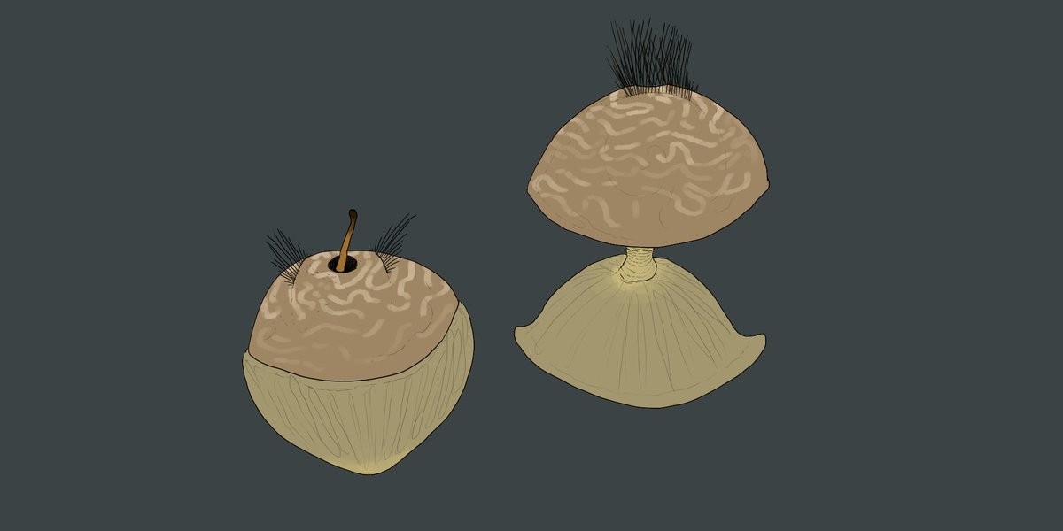 Each day I draw more...closer...to getting all my creatures done for my Deroth.. #specevo