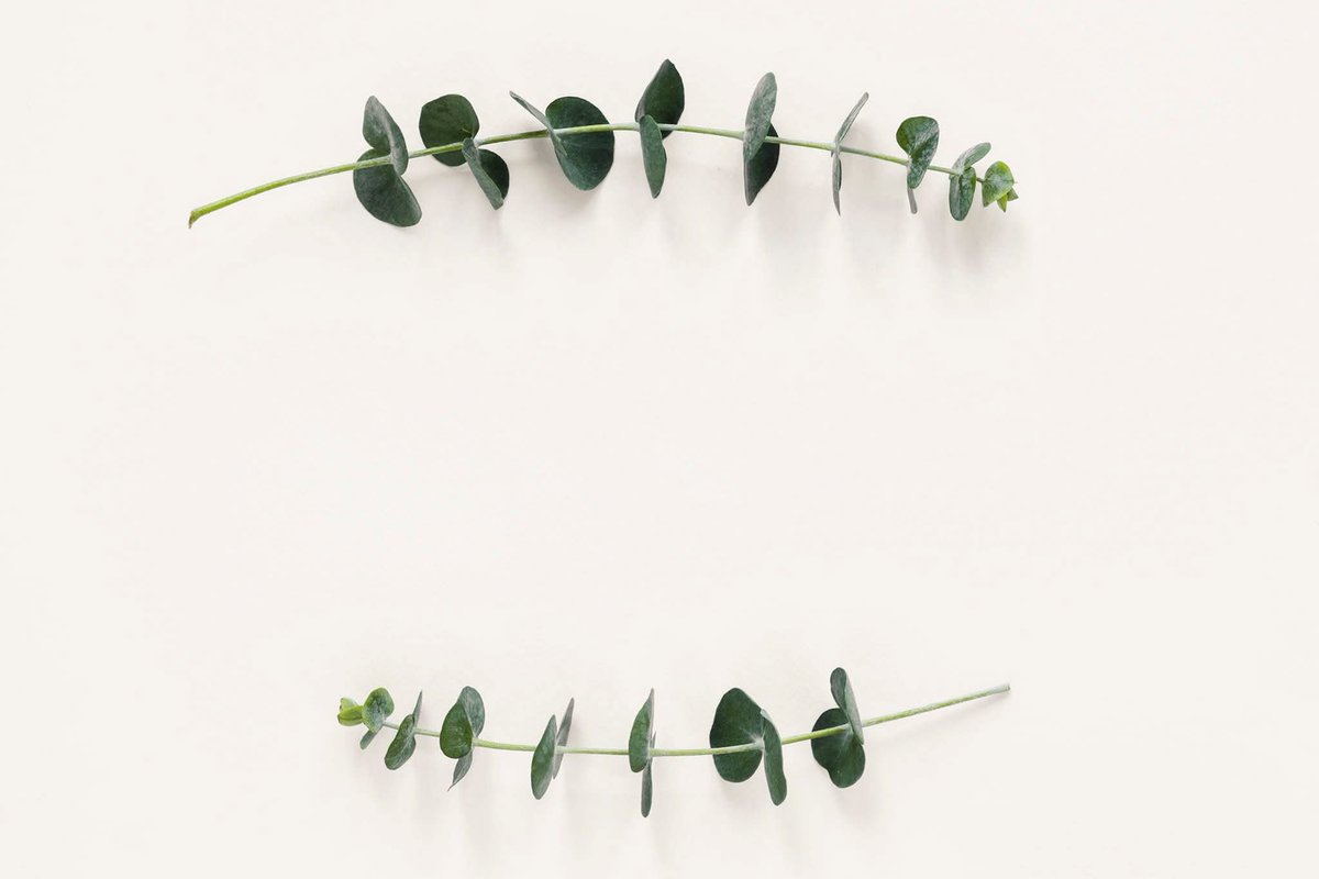 ~
وإذا انتكست للمرة الألف تُب للمرة الألف وواحد ،إنّ الله لا يَملّ حتي تملّوا...