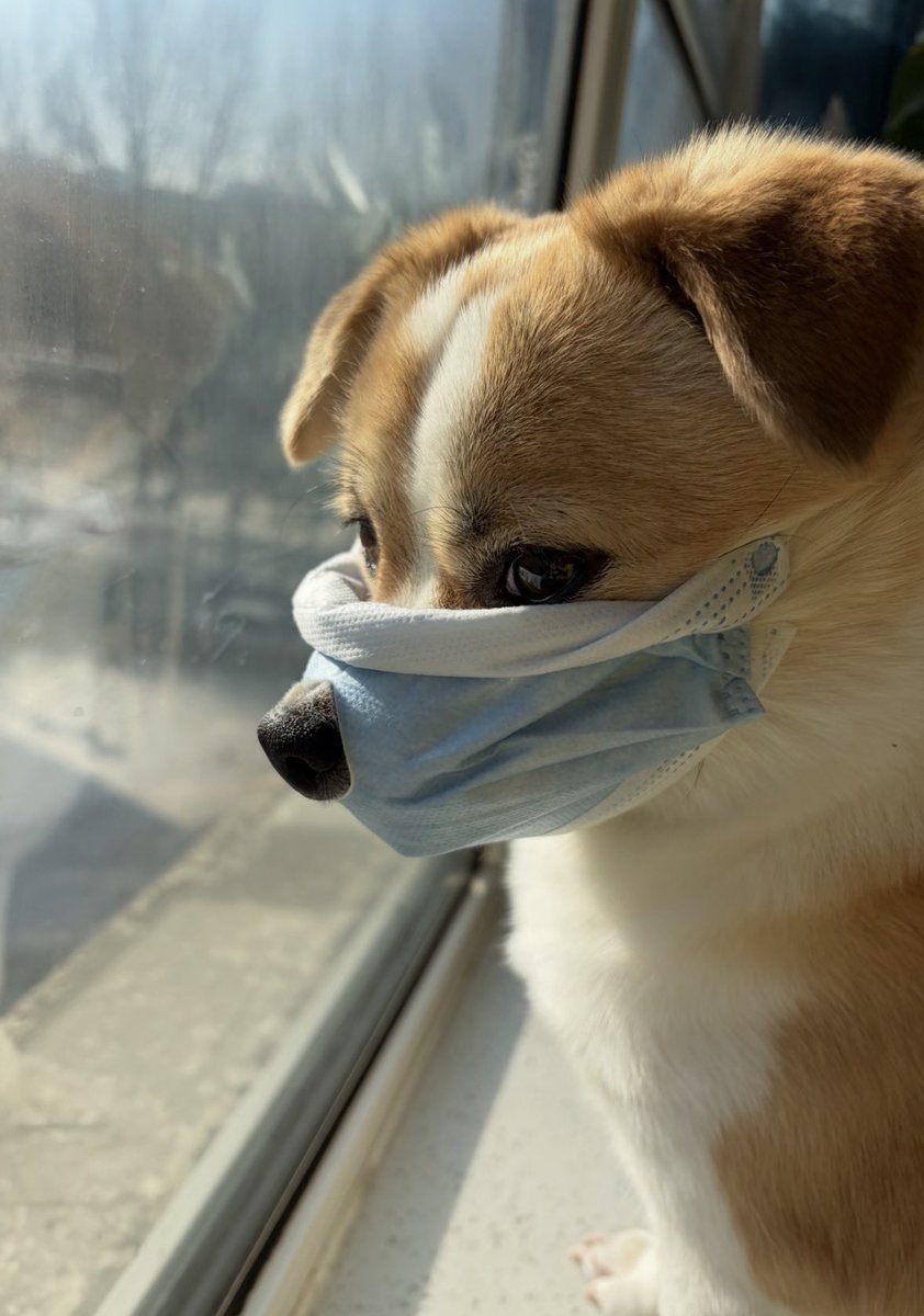 twaniimals's tweet photo. https://t.co/nSzKzZl3vL