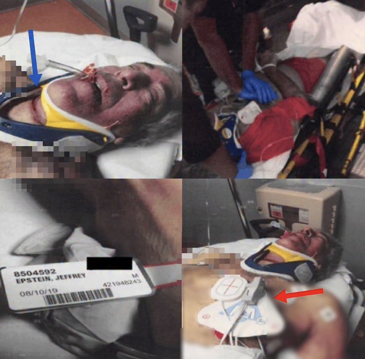 Siyaa ⵣ ❤️🇵🇸 tweet media