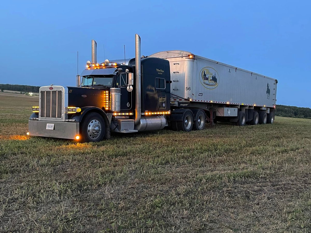 Kwgrainbiz tweet media