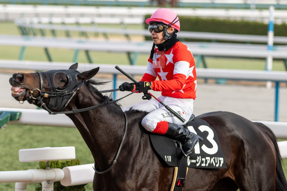 🇲🇱 𓂃𓈒𓏸 tweet media