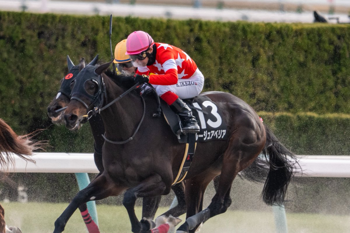 🇲🇱 𓂃𓈒𓏸 tweet media