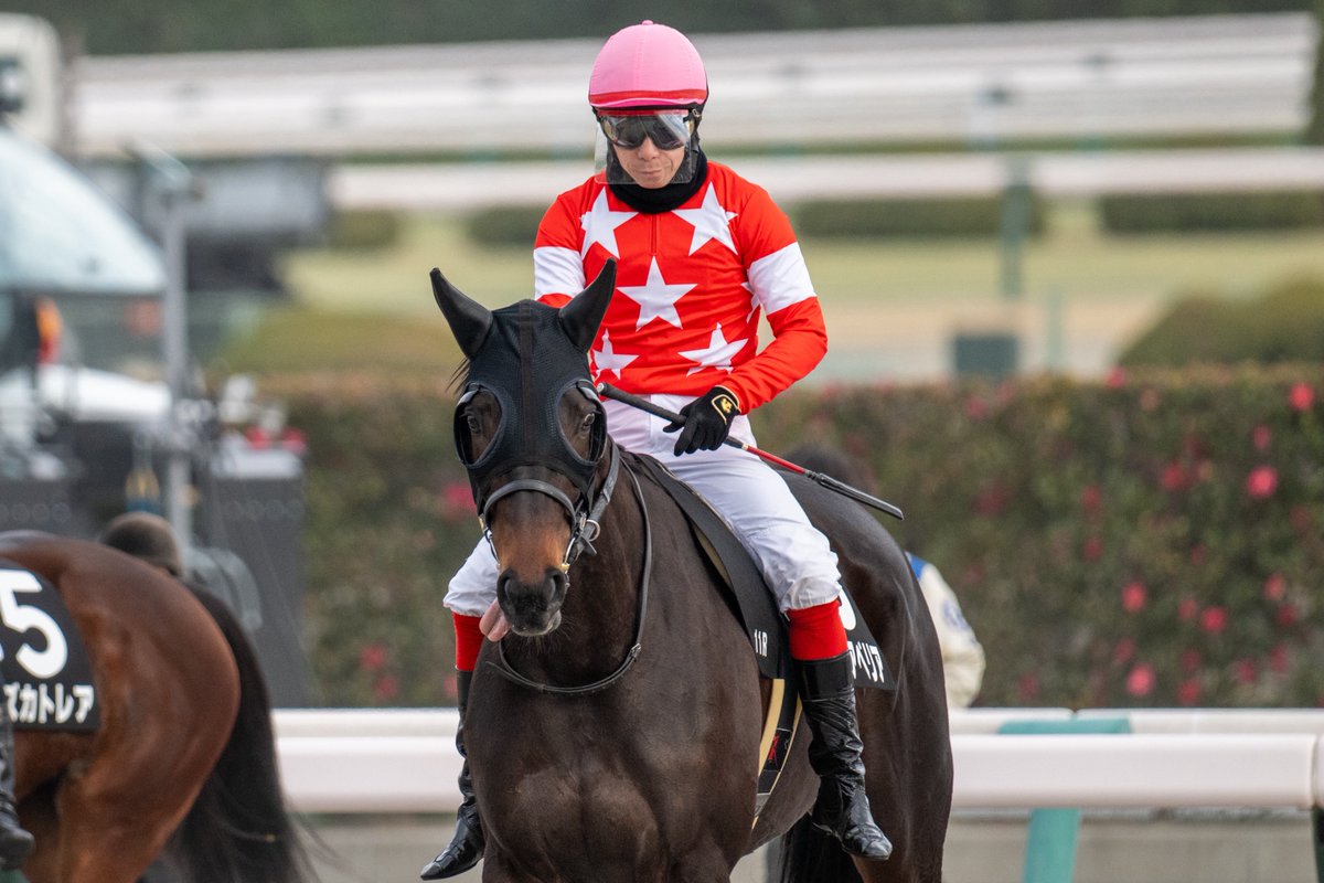 🇲🇱 𓂃𓈒𓏸 tweet media