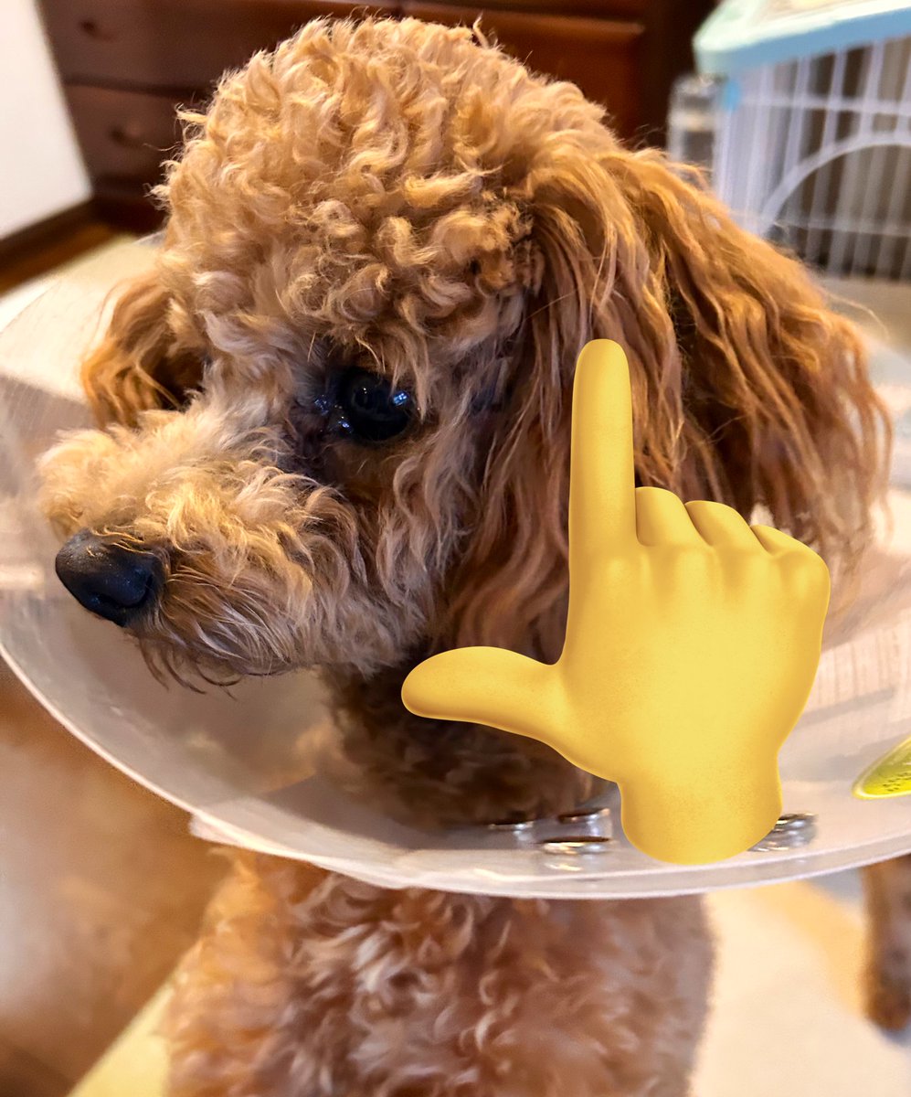 ♡かずちゃん様ご確認♡ かずちゃん (@kazu13chan) / Posts / X