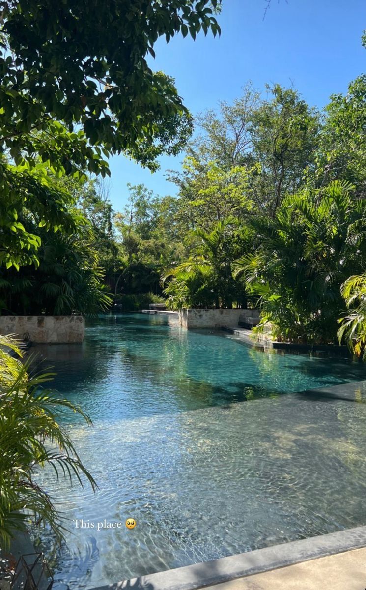 ᅠ ᅠ (@greendreaams) on Twitter photo 