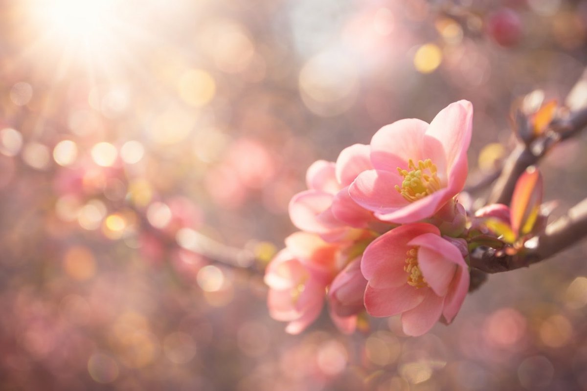 kazumi (@zf1118kazumi) / Posts / X