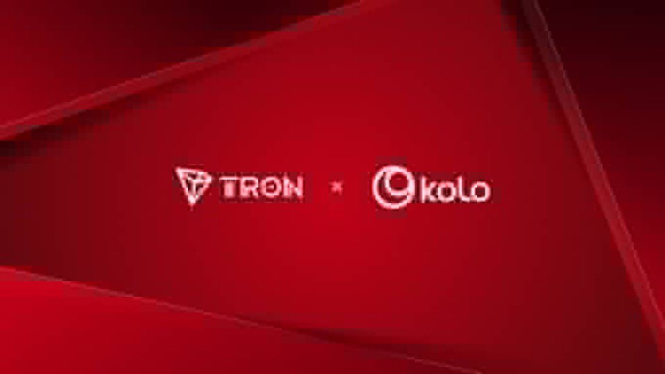 KC GMI 🐝 tweet media