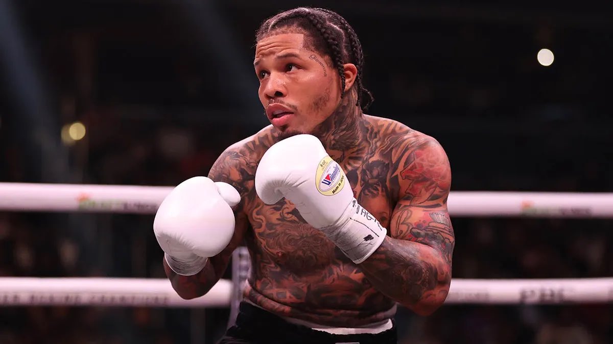 BOXING n BBQ tweet media