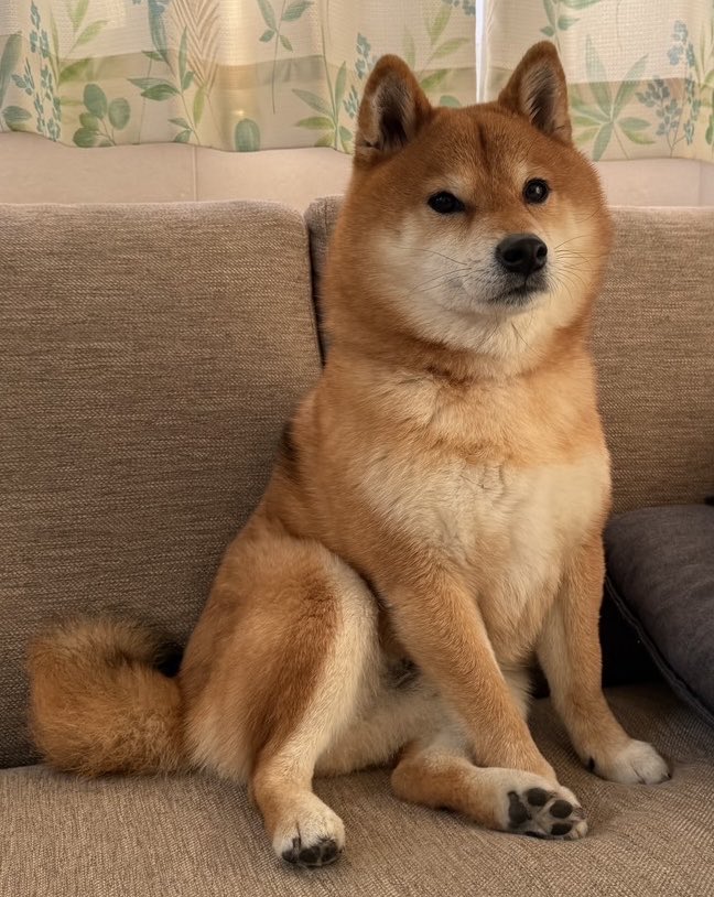 tora&senjiro (@etnOFyWNlBQUcx1) / Posts / X